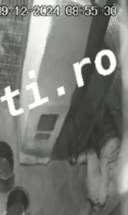 飼養(yǎng)員被撲倒 飼養(yǎng)員被撲倒