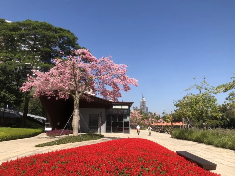 1. 大沙河生態(tài)長廊（圖片來源︰藝文游@小紅書）