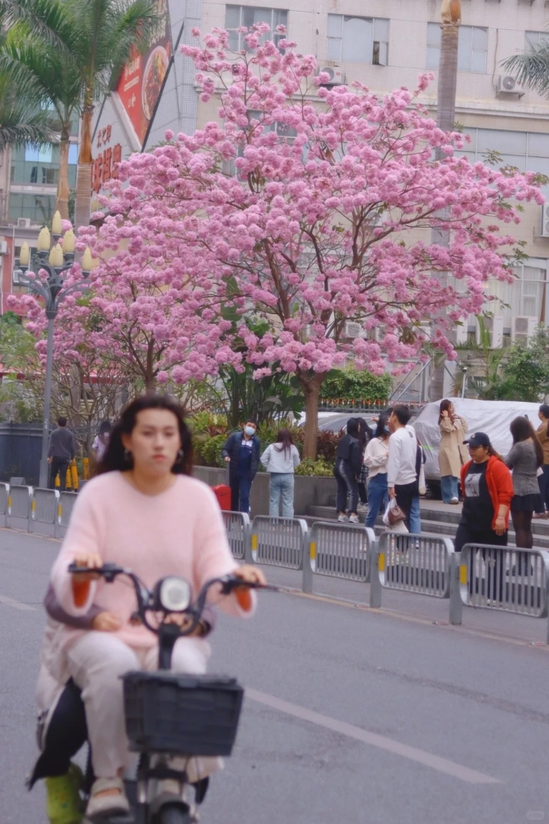 4. 清湖地鐵站C出口（圖片來源︰山海@小紅書）