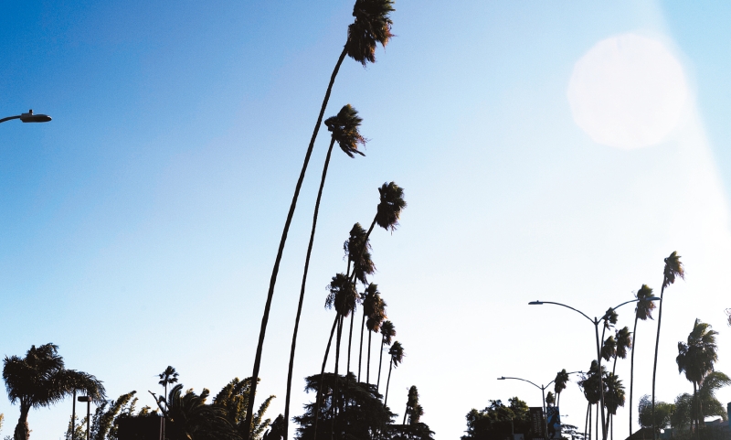 加州強(qiáng)風(fēng)。