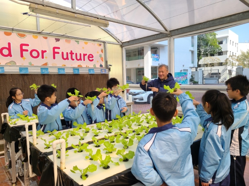 嗇色園主辦可銘學(xué)校把智慧農(nóng)耕納入科學(xué)科課程中