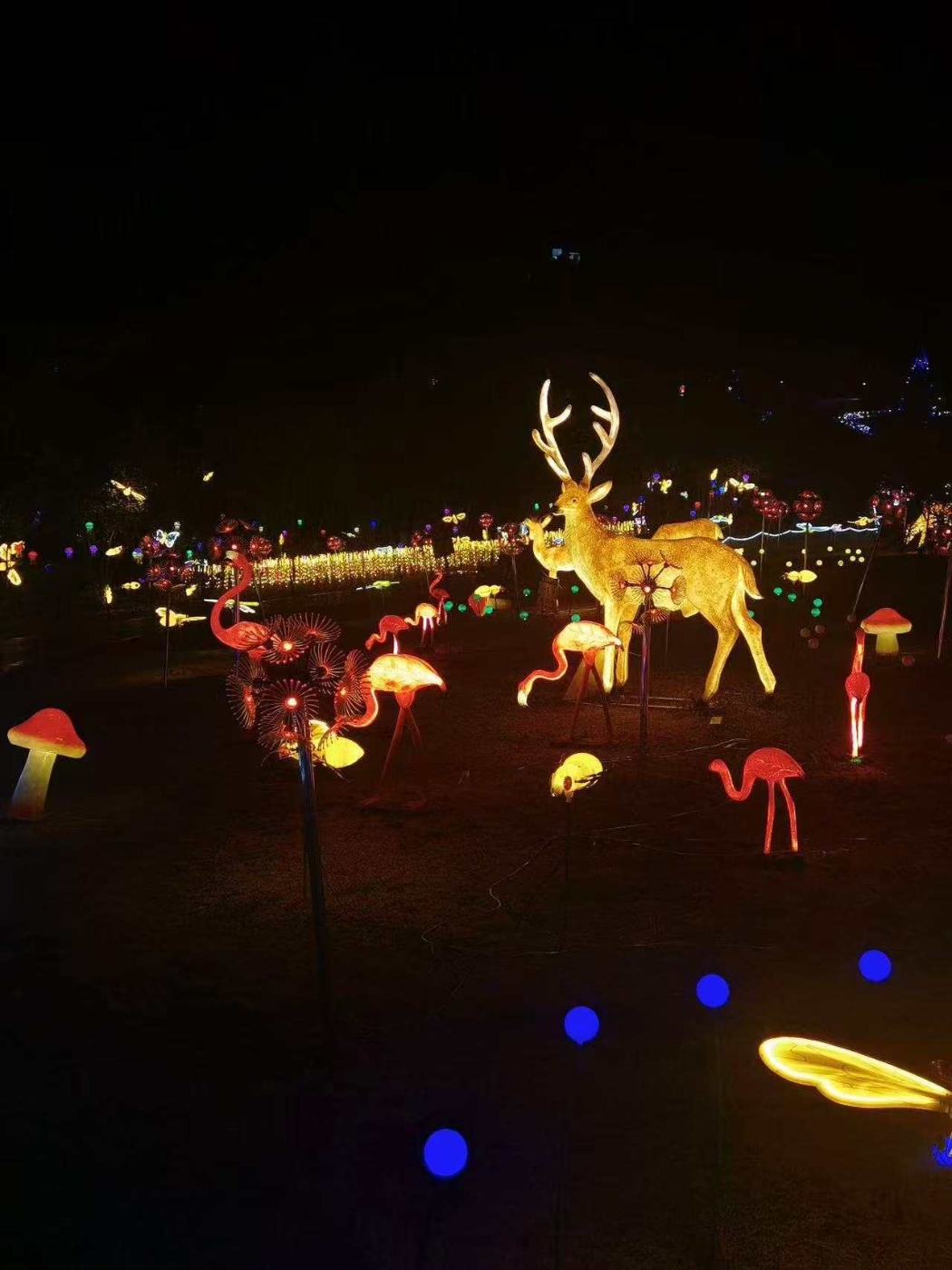 奇幻光影節(jié)啟幕之后的大棠有機(jī)生態(tài)園的動(dòng)物