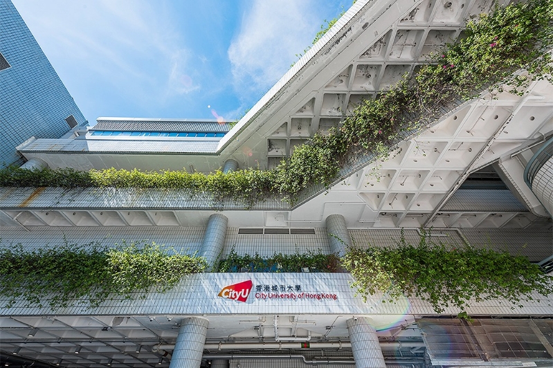 城市大學宣布成立生物醫(yī)學學院。