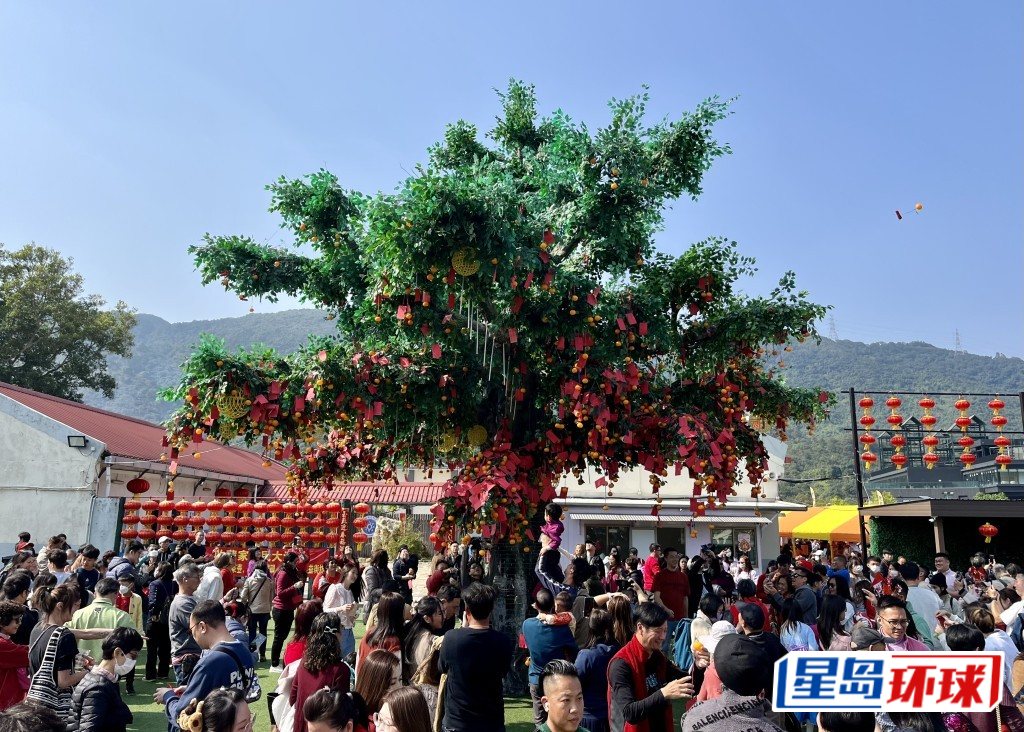 65c7877c0078416b953c610e_1 65c7877c0078416b953c610e_1