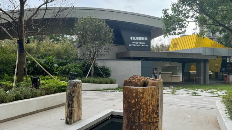 香港首個及唯一木化石公園（圖片來源：《親子王》）