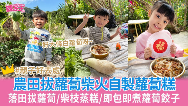 落田拔蘿卜用柴火蒸蘿卜糕