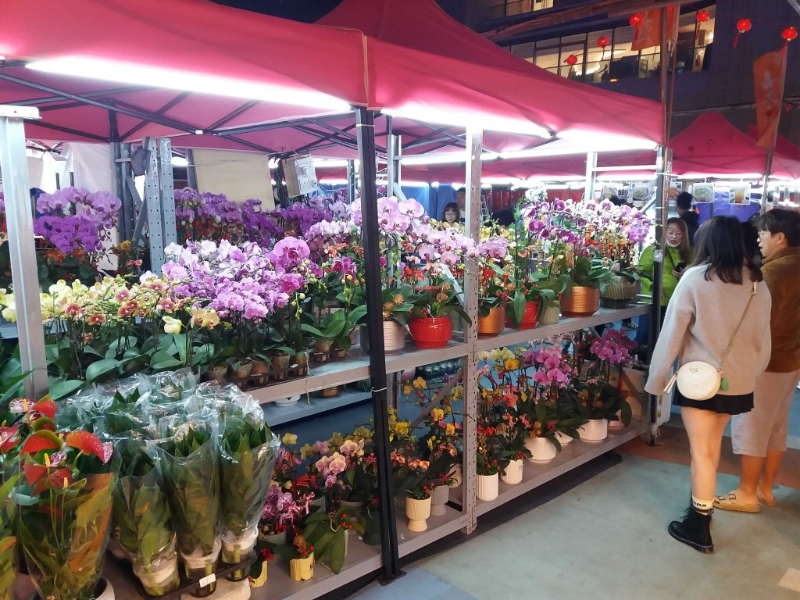 還有年花攤位供大家選購蘭花等。