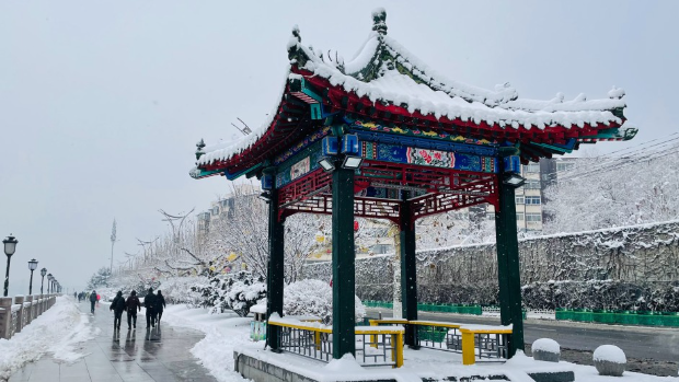 街頭的雪景 街頭的雪景