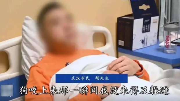 胡先生被愛犬咬至臉部重創(chuàng)需要留醫(yī)。