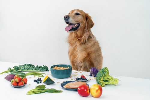 Petsona的食糧采用人類食用級(jí)食材制作，狗主加水后即可讓毛孩食用Petsona的營(yíng)養(yǎng)食糧。