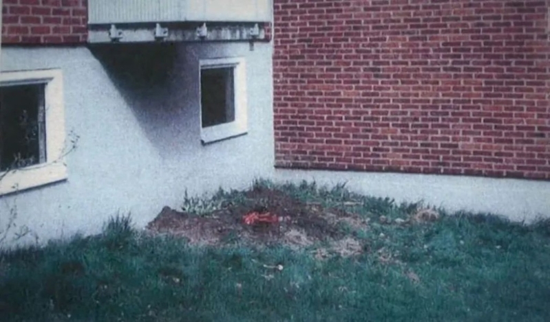 發(fā)現(xiàn)鄰居殘肢的土地一角。