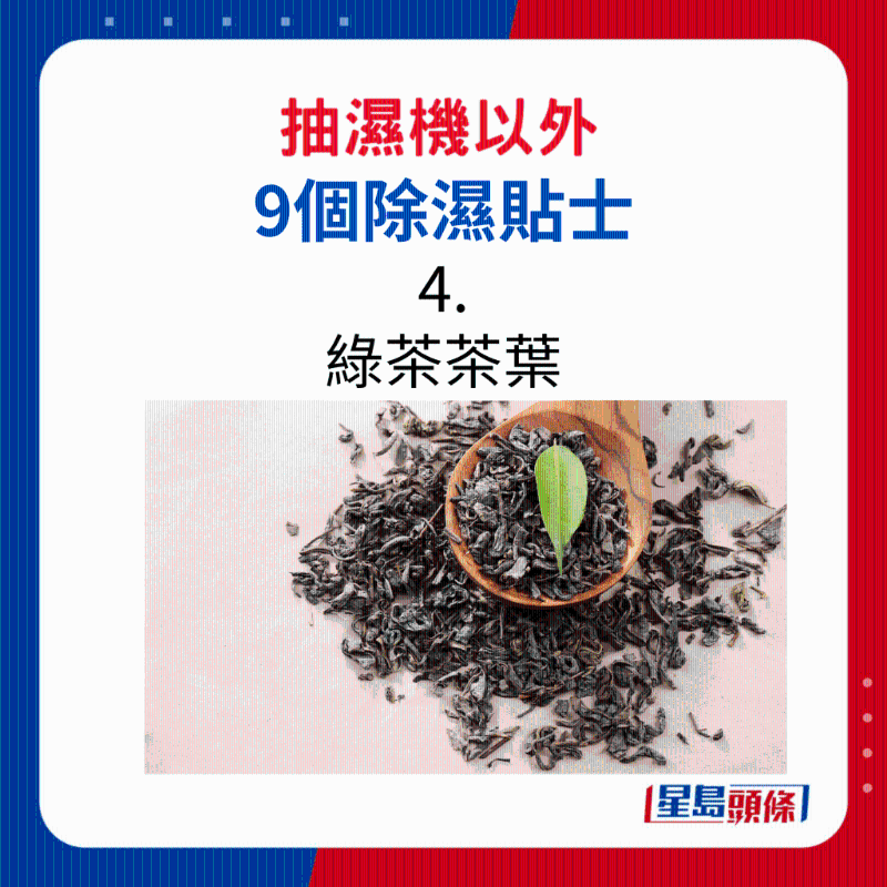 綠茶茶葉