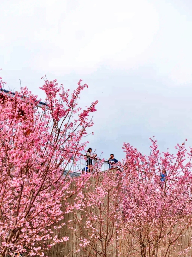 小三洲水庫位于鹽田區(qū)。（圖片來源：默言@小紅書）