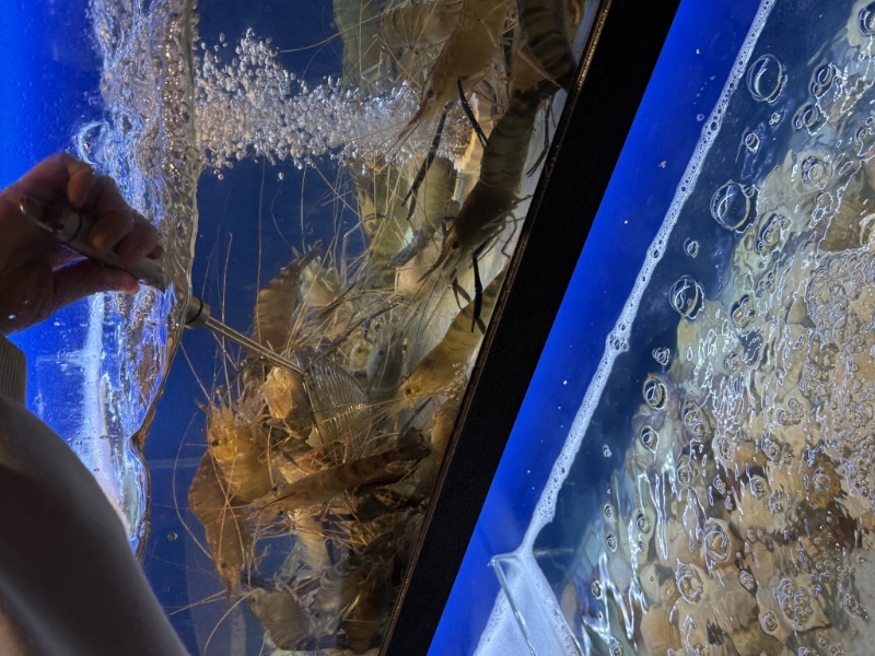 店內(nèi)設(shè)有多個(gè)大型海鮮池。