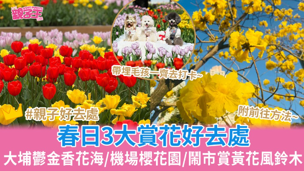 香港春日3大賞花好去處 香港春日3大賞花好去處