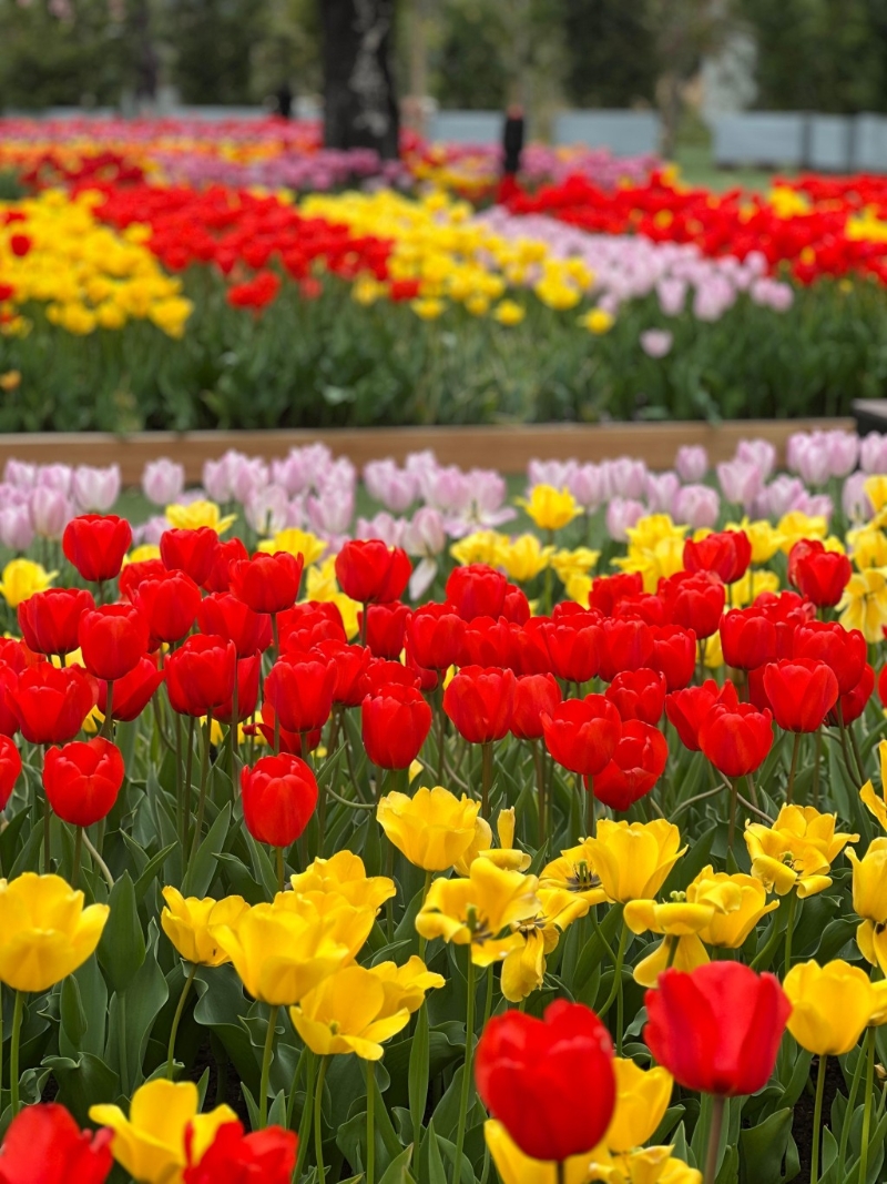 大埔Lake House 大埔Lake House