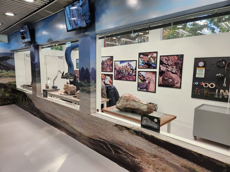 （圖片授權(quán)：FB@海馬仔 · 海馬媽媽）