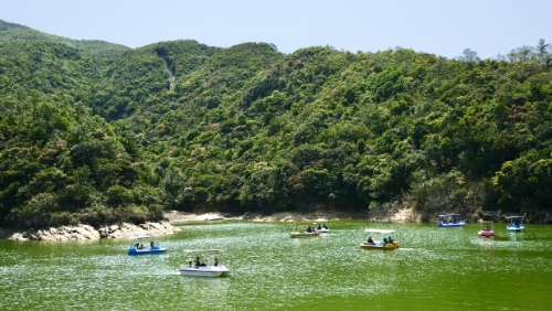 趁春光明媚，一起到黃泥涌水塘踩船仔欣賞自然景致。