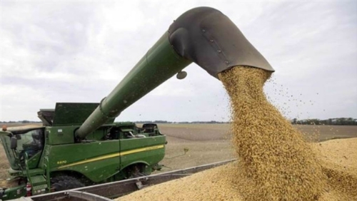 美中貿(mào)易戰(zhàn)升級(jí)，美國(guó)大豆農(nóng)憂失去中國(guó)這位大客戶。（美聯(lián)社）