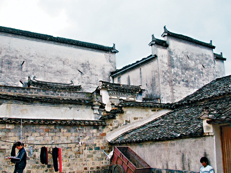 年初屢有高中公民科內(nèi)地考察團(tuán)出現(xiàn)腸胃炎癥狀的事件。