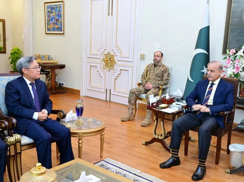 姜再冬大使會見巴基斯坦總理夏巴茲