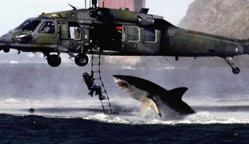 2001年一張大白鯊攻擊美軍直升機的照片，如野火般在網(wǎng)上傳開。