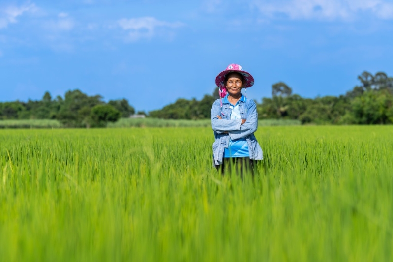 與30位泰國(guó)當(dāng)?shù)剞r(nóng)民合作，實(shí)施可持續(xù)種植技術(shù)。（相片由DFI零售集團(tuán)提供）