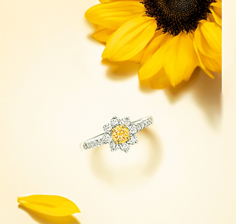 FEA23P27220525_fmt FEA23P27220525_fmt