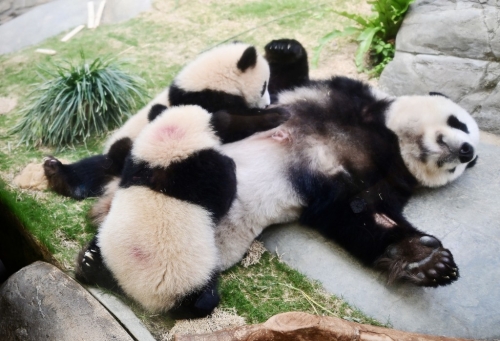 一家三口享受家庭樂。