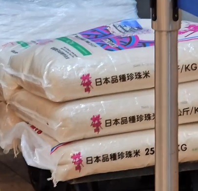 日嚐白飯 日嚐白飯