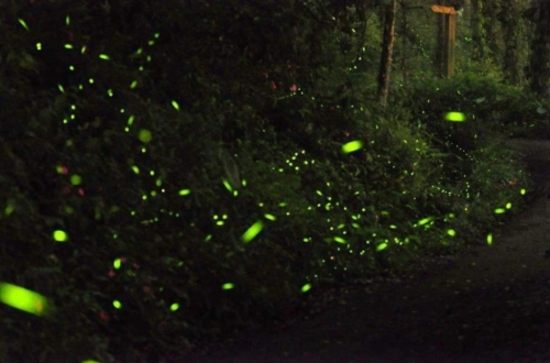 (圖片來源:kkday) (圖片來源:kkday)