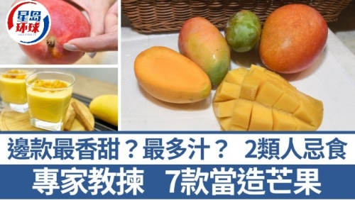 教揀7款時令芒果 教揀7款時令芒果