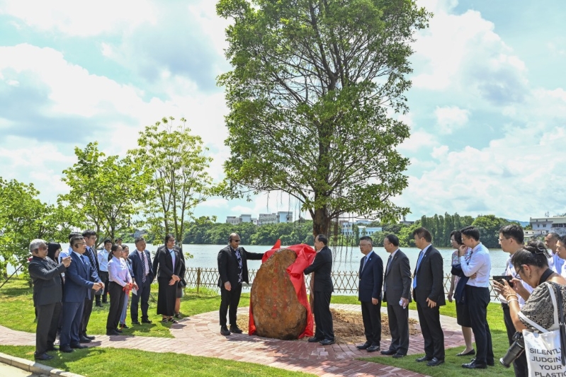 阿迪昂（石碑左）植下一棵象征家族根脈的榕樹。 中新社