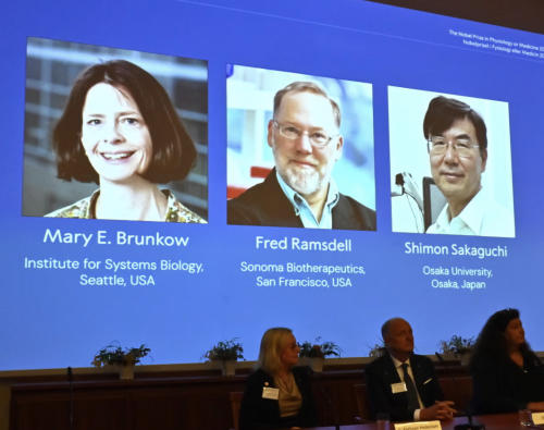 諾貝爾失聯(lián)