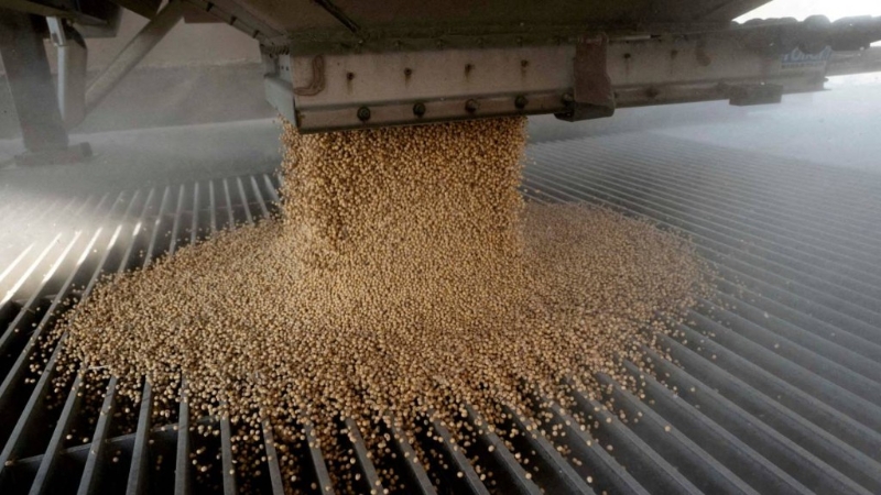 中國進(jìn)口商預(yù)訂大批美國大豆。