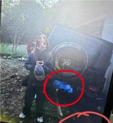 演員金晨被曝肇事逃逸讓助理頂包 交警回應(yīng):正在核實(shí)