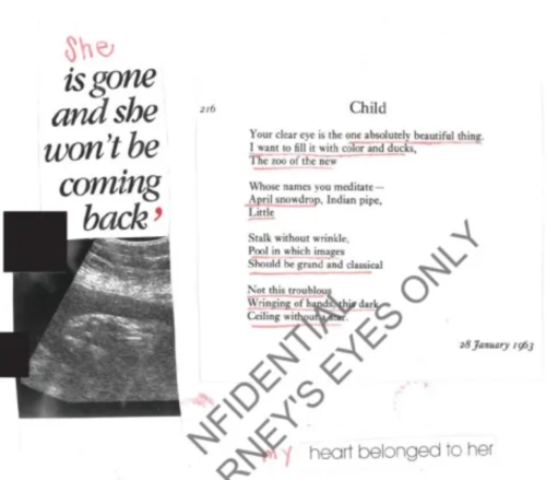 這名受害者的日記中附有B超照片，寫著“她走了也不會再回來了”，旁邊還附上了美國女詩人西爾維婭·普拉斯創(chuàng)作于1963年的詩歌《孩子》