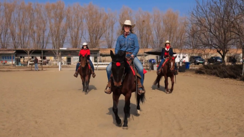 美國駐華使領(lǐng)館發(fā)新春帖文