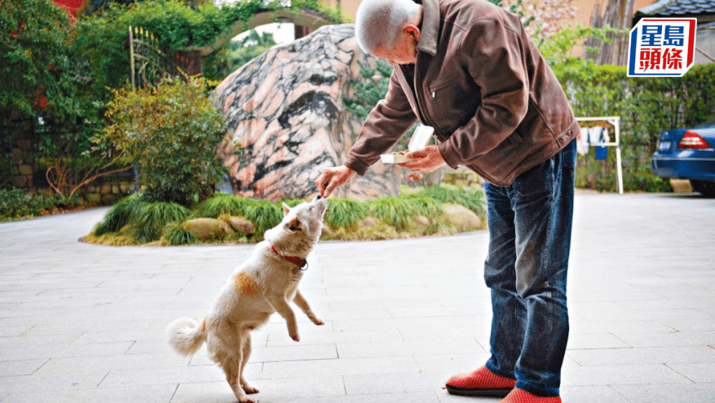 孤獨經(jīng)濟 孤獨經(jīng)濟