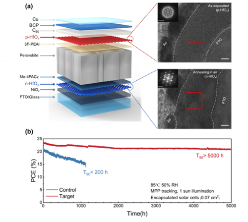 多功能氧化鉿修飾的鈣鈦礦太陽能電池及其優(yōu)異的穩(wěn)定性